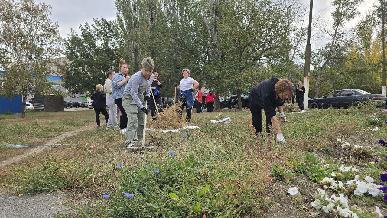 Саратовцев приглашают на масштабный субботник 11 октября